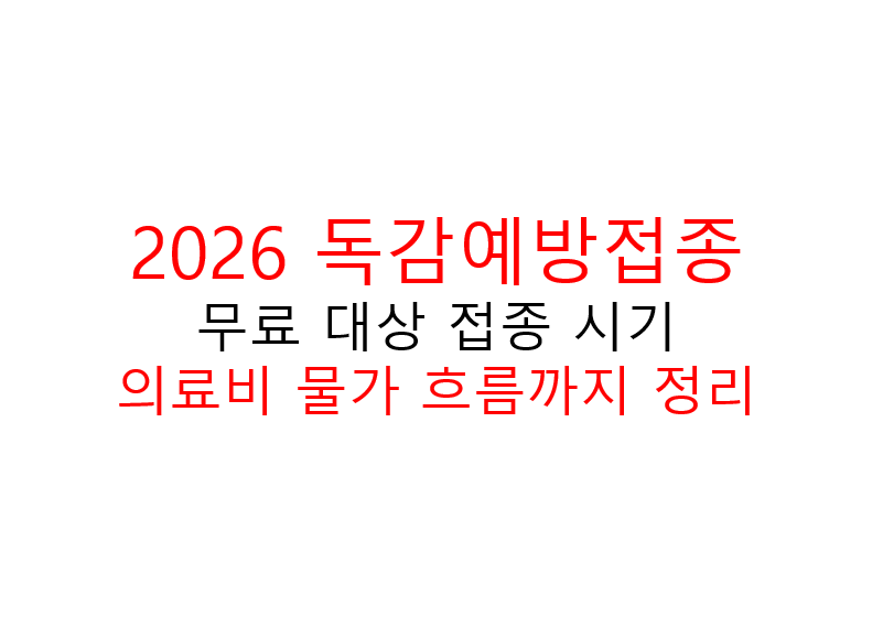 2026 독감예방접종 무료 대상 접종 시기와 의료비 물가 흐름까지 정리 2 image 10