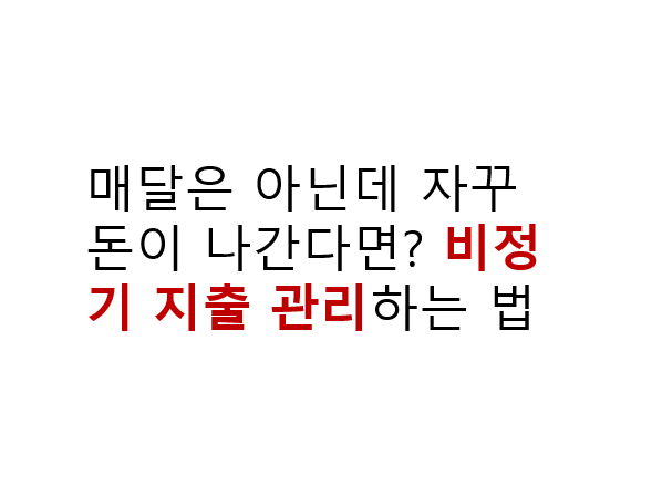 매달은 아닌데 자꾸 돈이 나간다면? 비정기 지출 관리하는 법 2 매달은 아닌데 자꾸 돈이 나간다면? 비정기 지출 관리하는 법